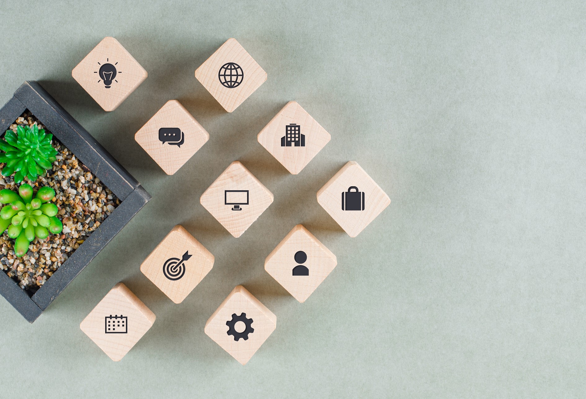 Ensemble de cubes de bois marqué d’un pictogramme d’activité et plante zen